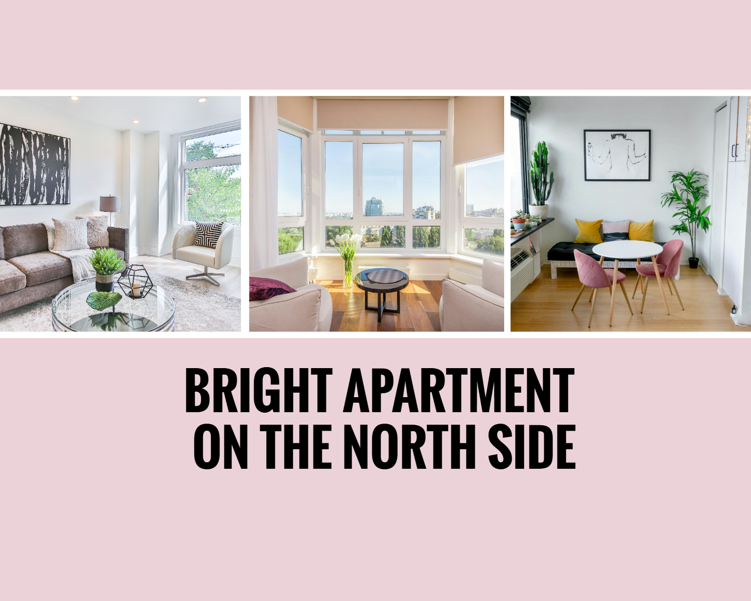 View of Bright and Spacious North-Facing Apartment: Interior Tips Without an ...